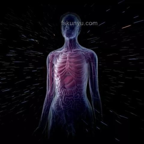 【老鼠人行动】航天基地（绝密）深度解析与行业趋势