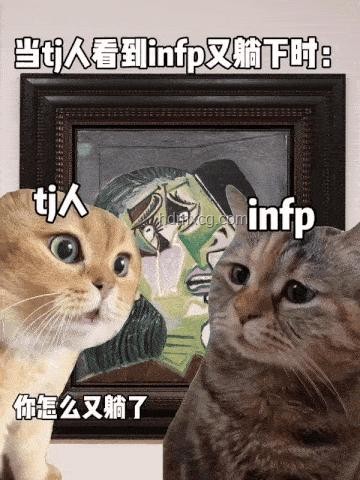 大司马猫Meme：创意跨界，重塑娱乐新生态