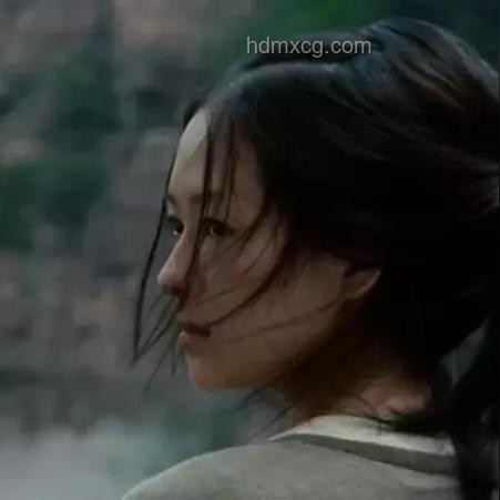 李安《卧虎藏龙》中玉娇龙跳崖动因探究