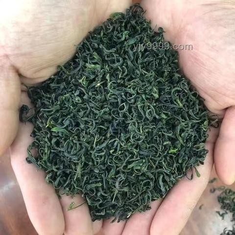 十八岁回家指南：重拾青春记忆与自我成长