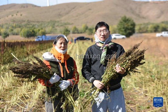 郑钦文草地赛巨分攻略：汗水与智慧并存的胜利之路