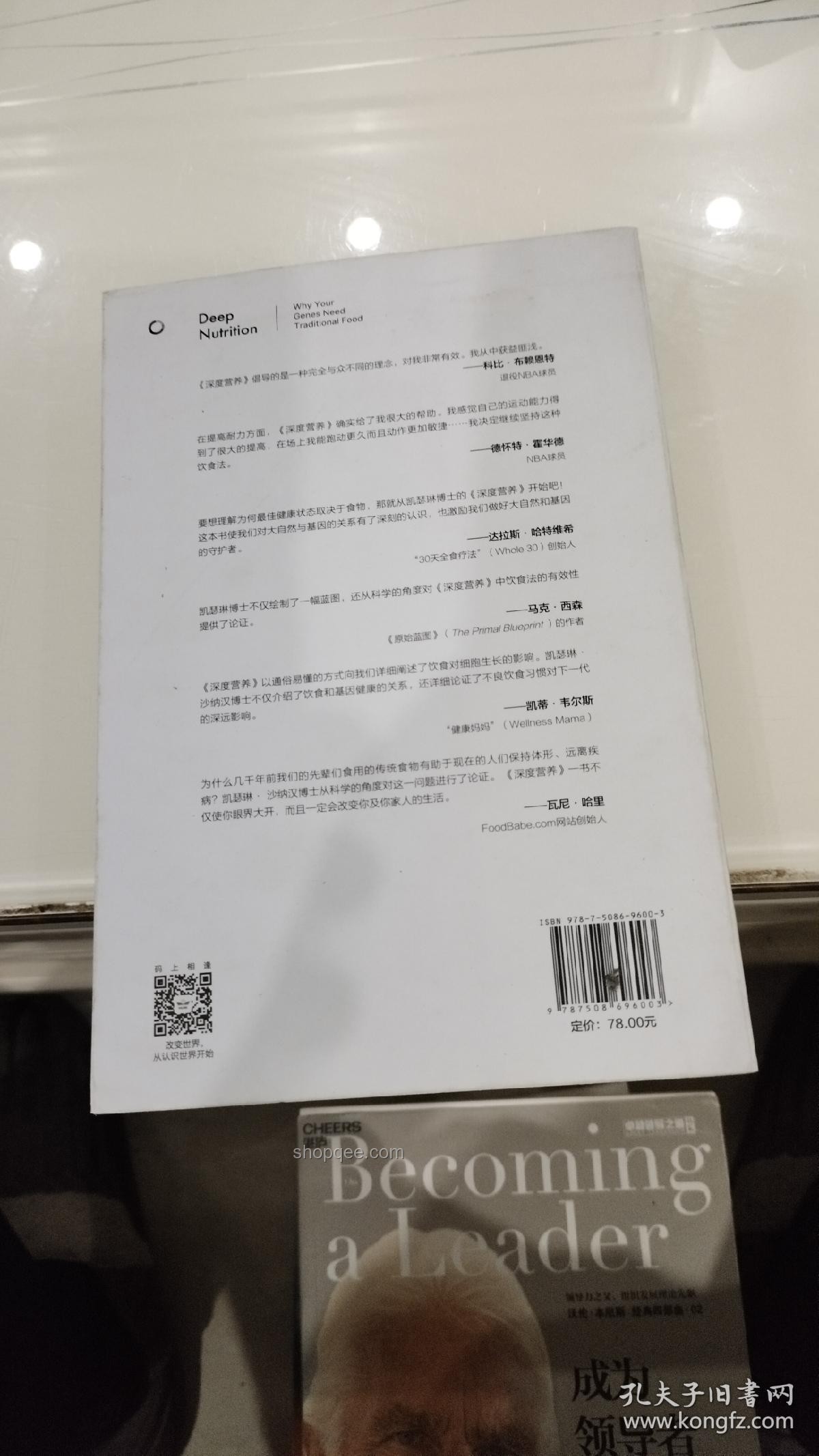 牛食素健硕之谜：人类饮食差异的深度剖析