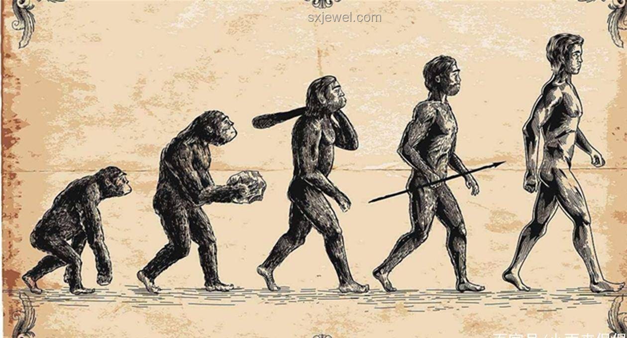 中国科学家确认史前母系社会存在重大意义