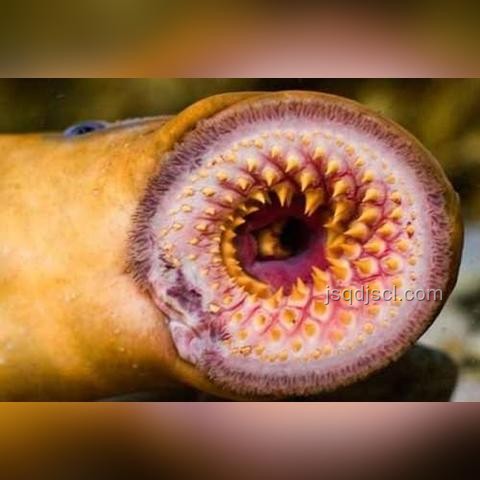 21世纪生物学现状：天坑还是新蓝海？