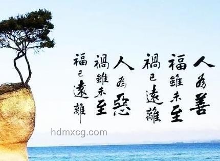 真诚善良，志趣相投的人最吸引我💖
