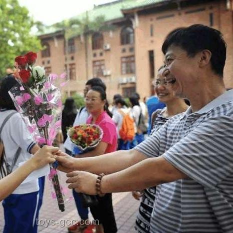 高考估分570+：追梦or顺从？创新决策法引领未来