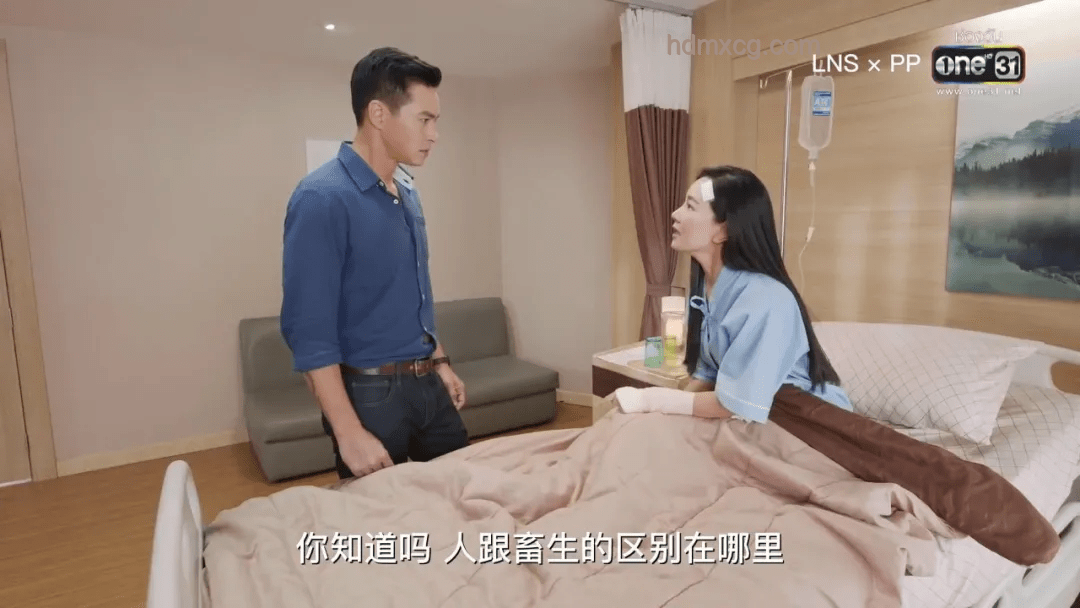 《酱园弄》引领影视新风尚：大女主大男主时代来临？